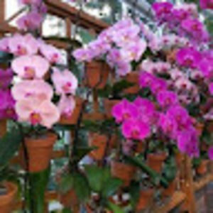 Meet your Posher, Cb